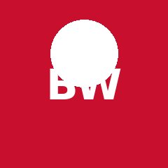Bryan Woo
